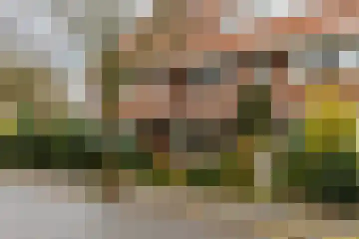 Prof. J.W. Dieperinklaan 18 Utrecht thumbnail 43