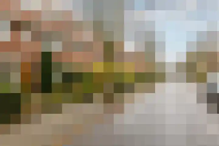 Prof. J.W. Dieperinklaan 18 Utrecht thumbnail 5