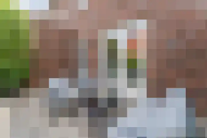 Prof. Jan Bronnerlaan 181 Utrecht thumbnail 16