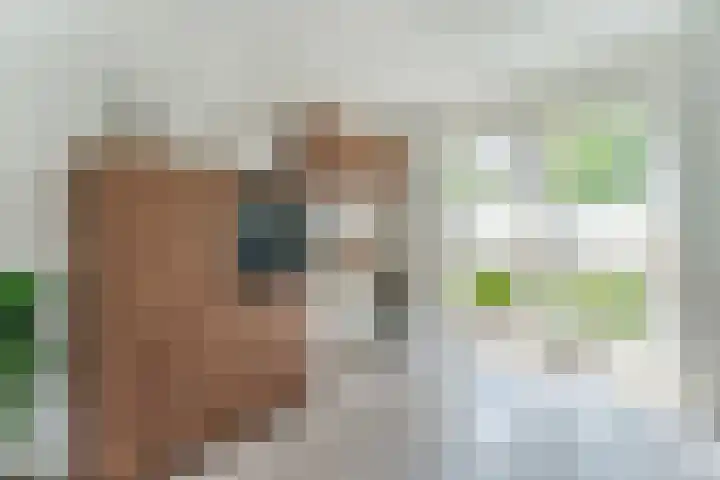 Prof. Jan Bronnerlaan 181 Utrecht thumbnail 23