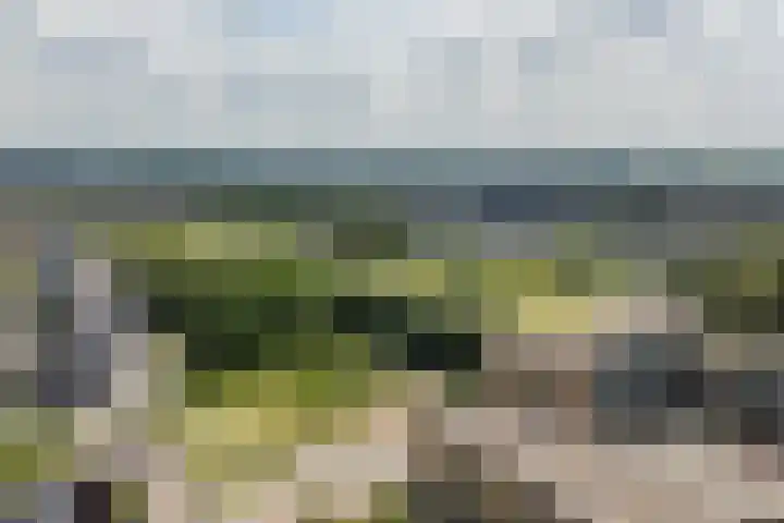 Prof. Jan Bronnerlaan 181 Utrecht thumbnail 48