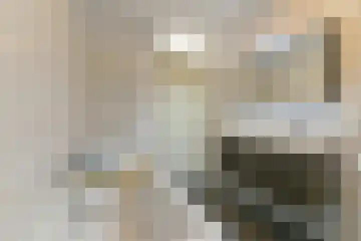 Prof. Jan Bronnerlaan 183 Utrecht thumbnail 47