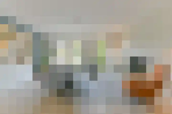 Prof. Jan Bronnerlaan 183 Utrecht thumbnail 9