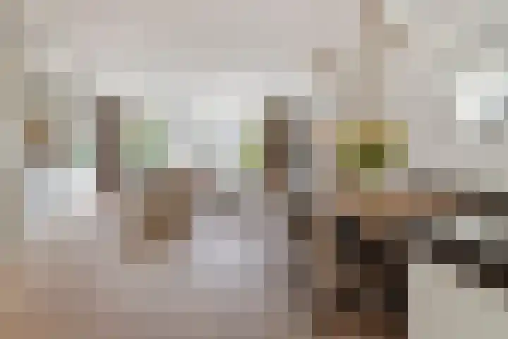 Prof. Jan Bronnerlaan 192 Utrecht thumbnail 18