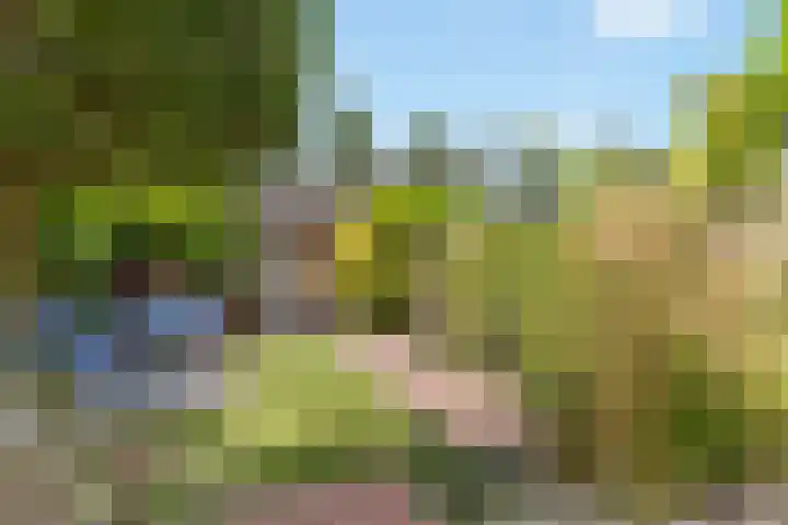 Prof. Jan Bronnerlaan 192 Utrecht thumbnail 40