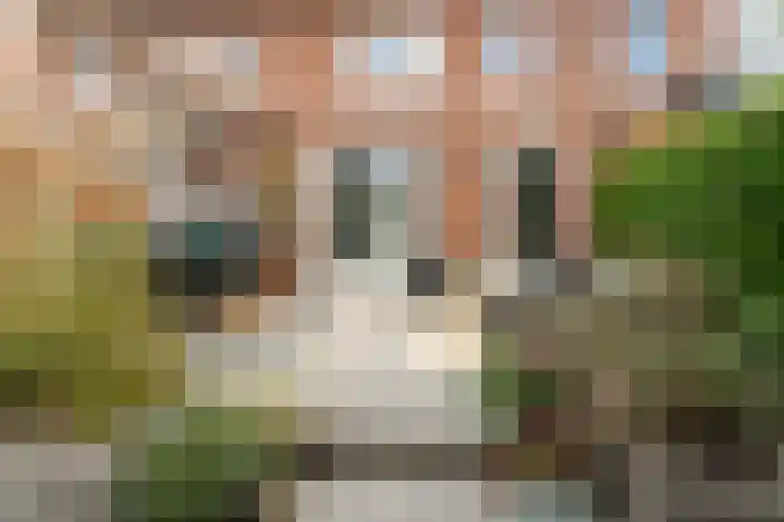 Prof. Jan Bronnerlaan 192 Utrecht thumbnail 42