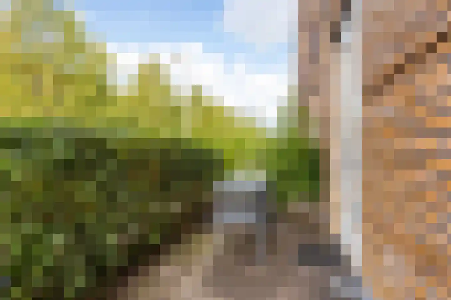 Prof. Jan Bronnerlaan 199 Utrecht thumbnail 13