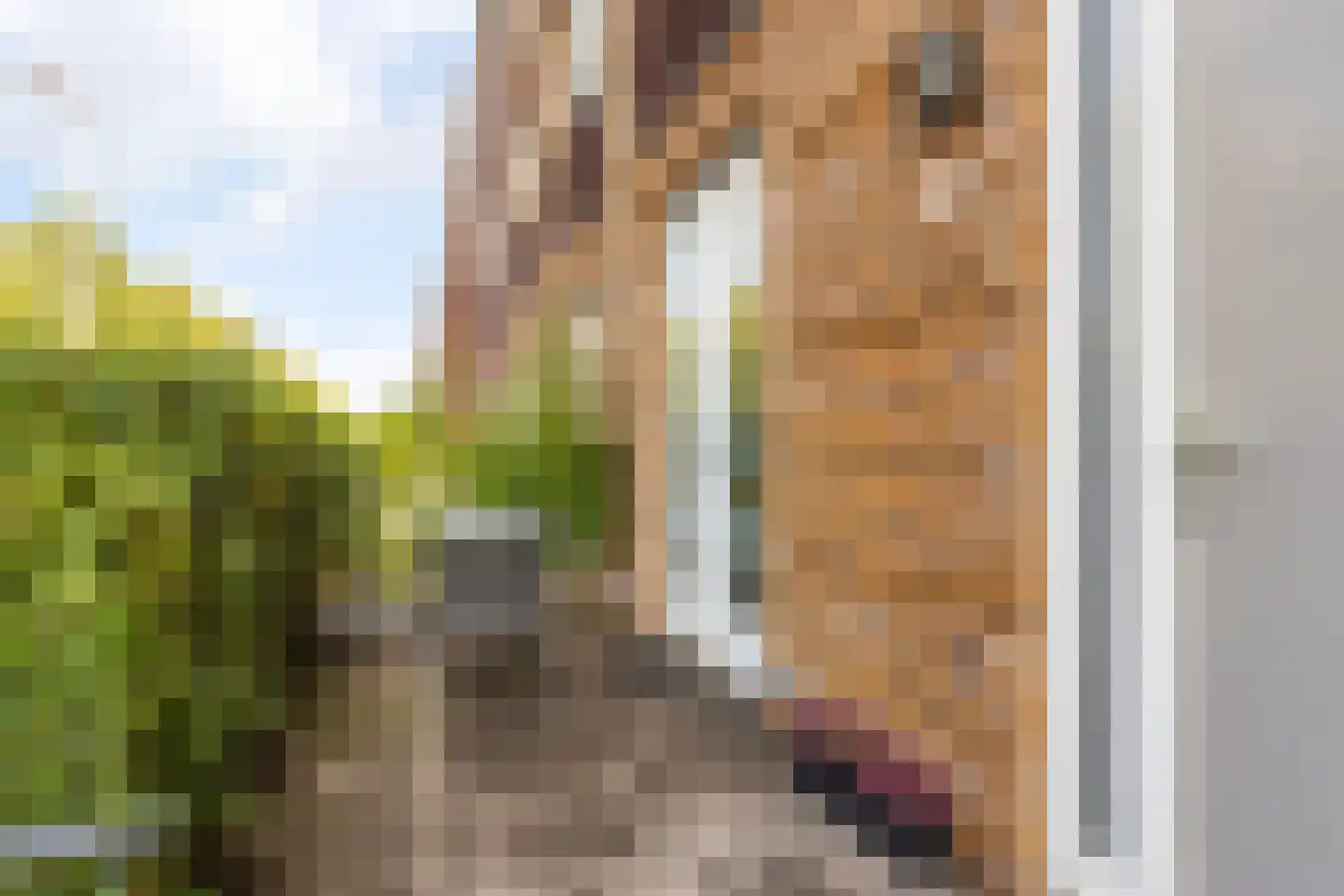 Prof. Jan Bronnerlaan 199 Utrecht thumbnail 14