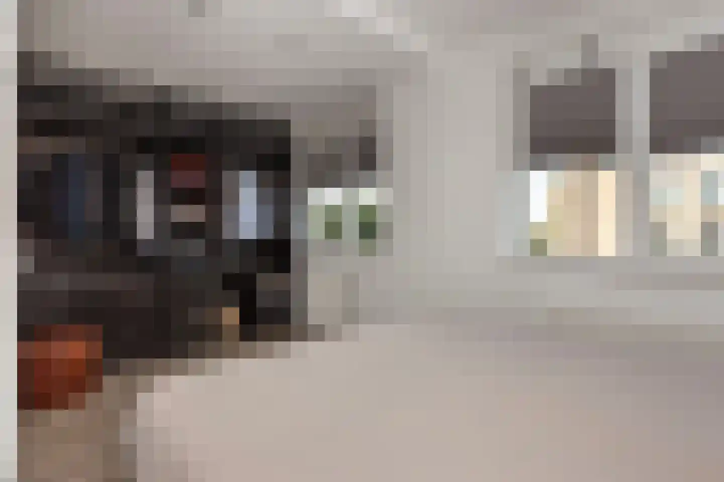 Prof. Jan Bronnerlaan 199 Utrecht thumbnail 28