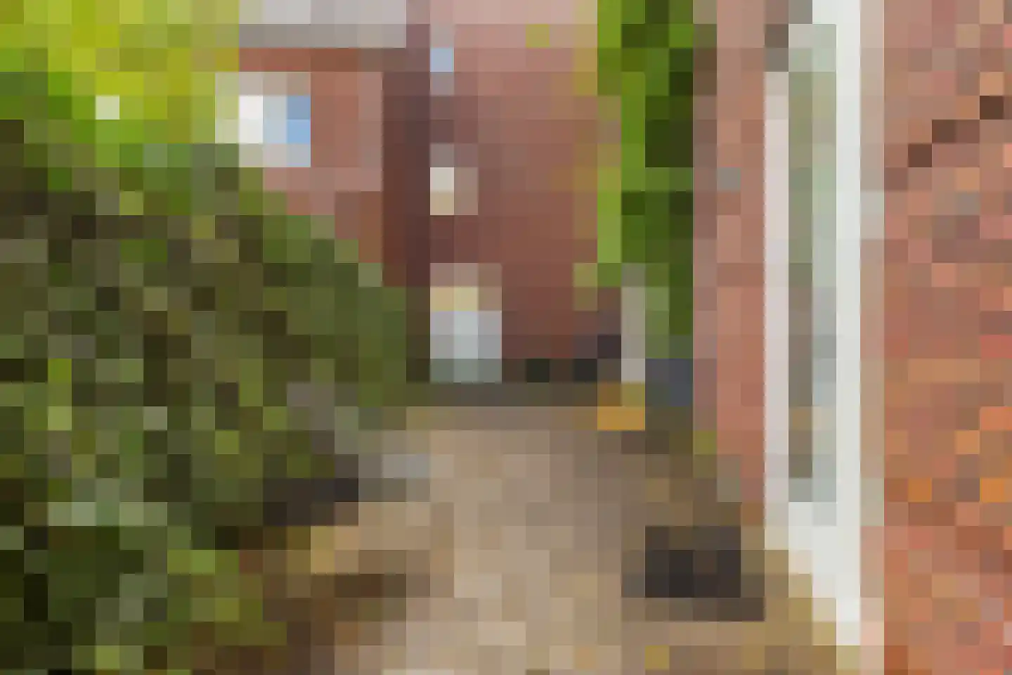 Prof. Jan Bronnerlaan 199 Utrecht thumbnail 32