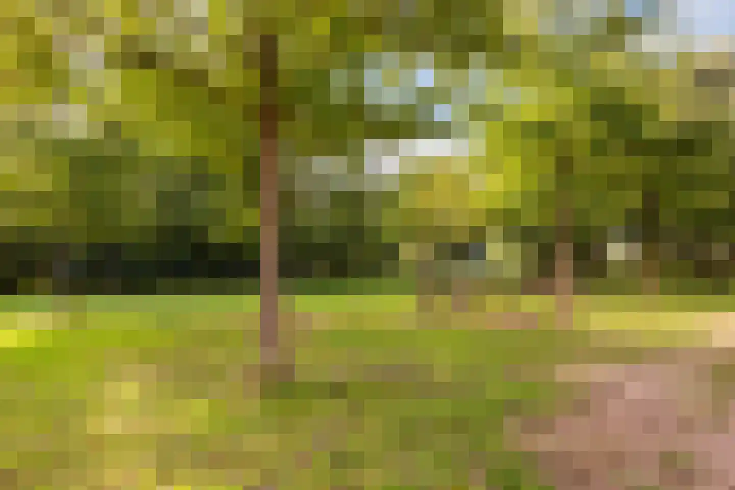 Prof. Jan Bronnerlaan 199 Utrecht thumbnail 37