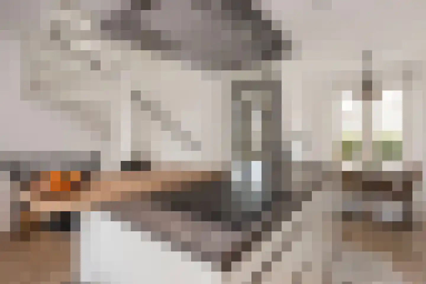 Prof. Jan Bronnerlaan 199 Utrecht thumbnail 7