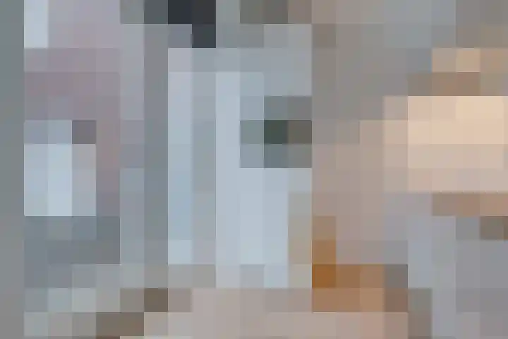 Prof. Jan Bronnerlaan 201 Utrecht thumbnail 13