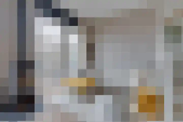 Prof. Jan Bronnerlaan 201 Utrecht thumbnail 20