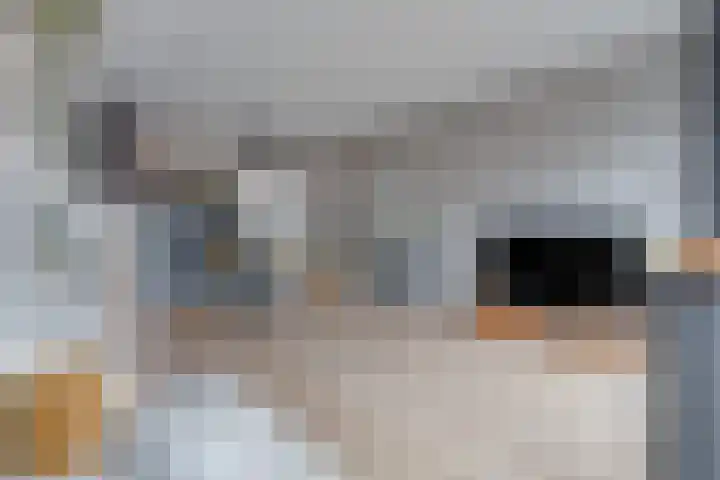 Prof. Jan Bronnerlaan 201 Utrecht thumbnail 21