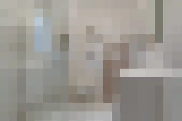Prof. Jan Bronnerlaan 201 Utrecht thumbnail 28