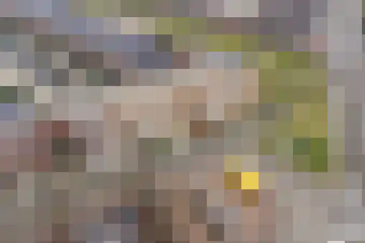 Prof. Jan Bronnerlaan 201 Utrecht thumbnail 33