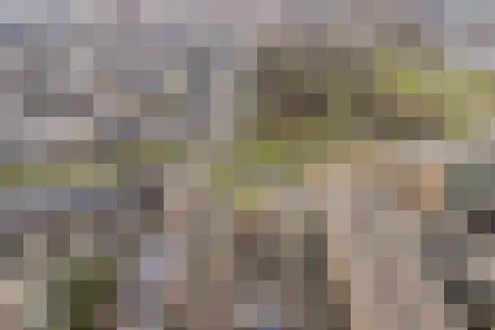Prof. Jan Bronnerlaan 201 Utrecht thumbnail 35