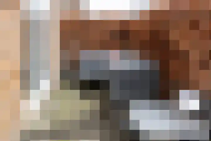 Prof. Jan Bronnerlaan 201 Utrecht thumbnail 4