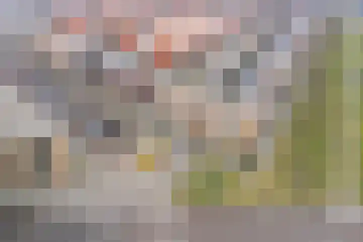 Prof. Jan Bronnerlaan 201 Utrecht thumbnail 6
