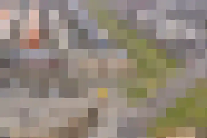 Prof. Jan Bronnerlaan 201 Utrecht thumbnail 7