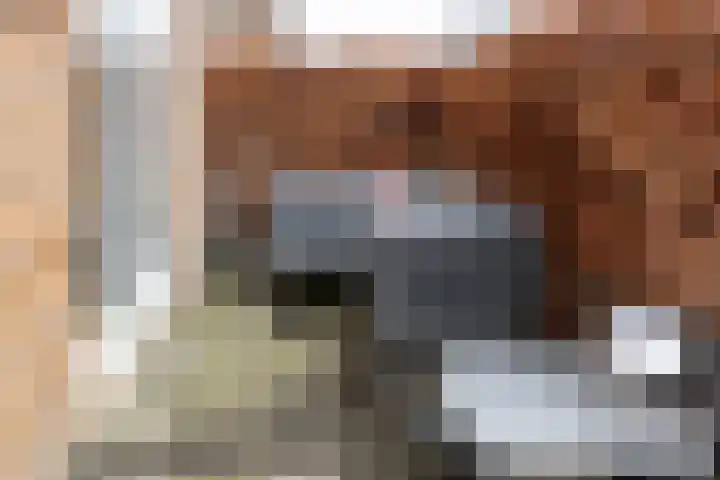 Prof. Jan Bronnerlaan 201 Utrecht thumbnail 8