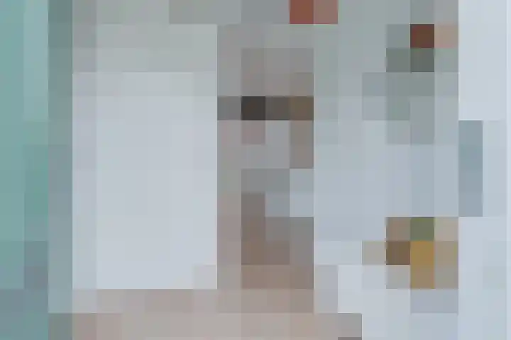 Prof. Jan Bronnerlaan 201 Utrecht thumbnail 9