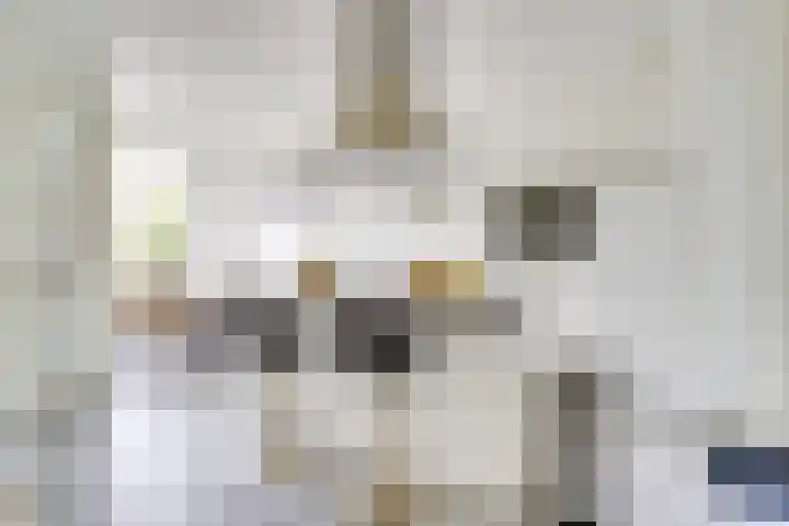 Prof. Jan Bronnerlaan 203 Utrecht thumbnail 11