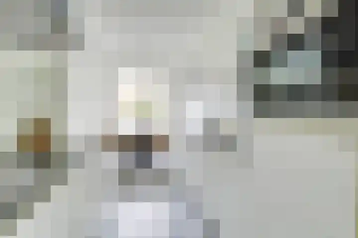 Prof. Jan Bronnerlaan 203 Utrecht thumbnail 12