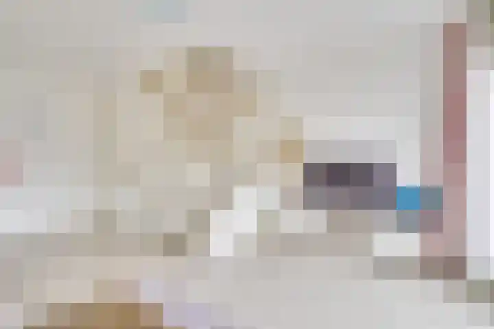 Prof. Jan Bronnerlaan 203 Utrecht thumbnail 17