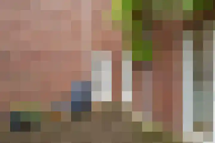 Prof. Jan Bronnerlaan 203 Utrecht thumbnail 29