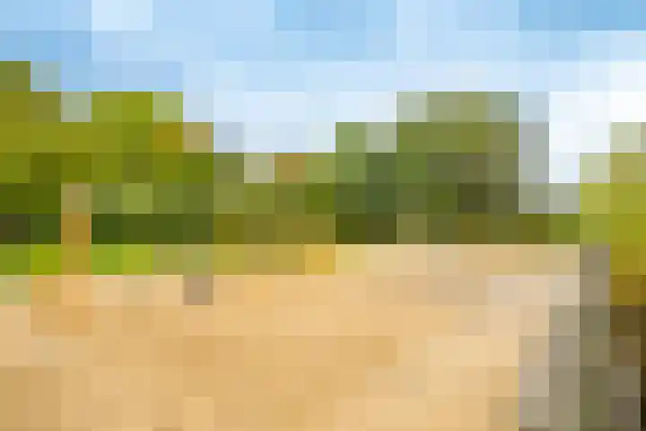 Prof. Jan Bronnerlaan 203 Utrecht thumbnail 35