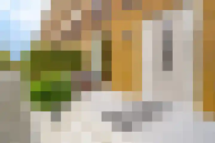 Prof. Jan Bronnerlaan 203 Utrecht thumbnail 4