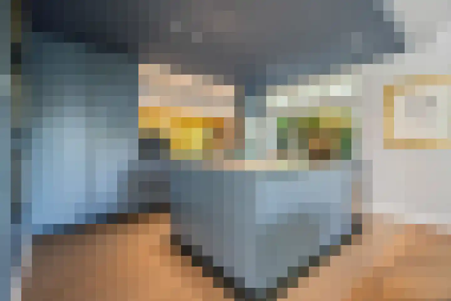 Prof. Jordanlaan 134 Utrecht thumbnail 19