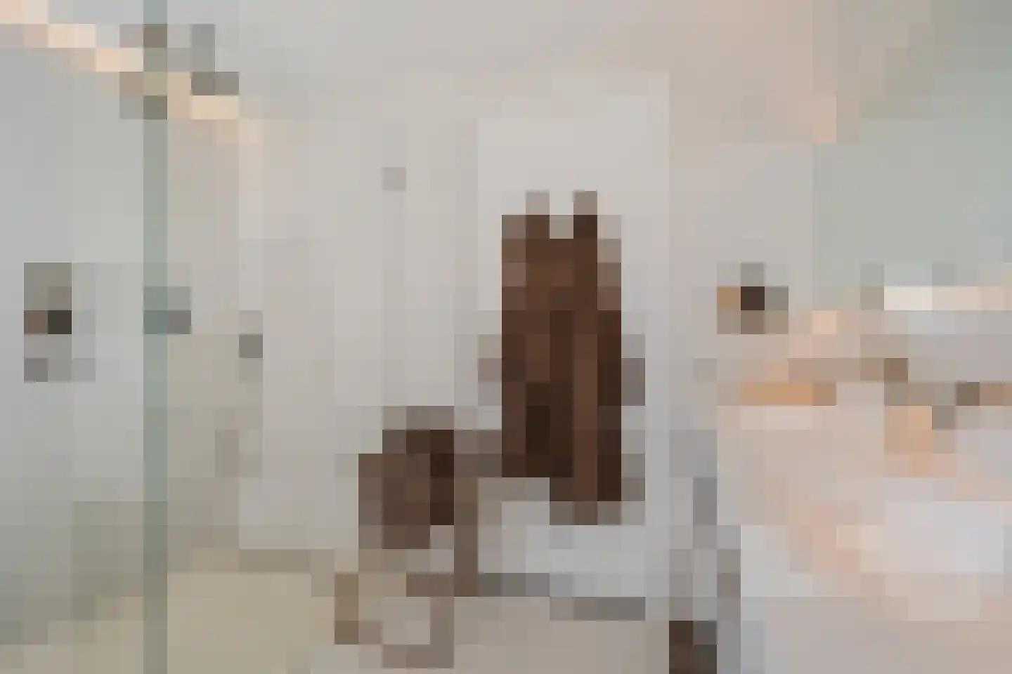 Prof. Jordanlaan 134 Utrecht thumbnail 49
