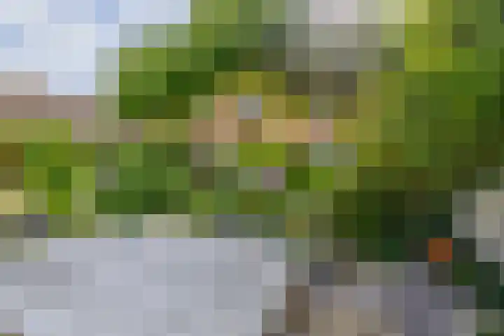 Prof. Jordanlaan 64 Utrecht thumbnail 20