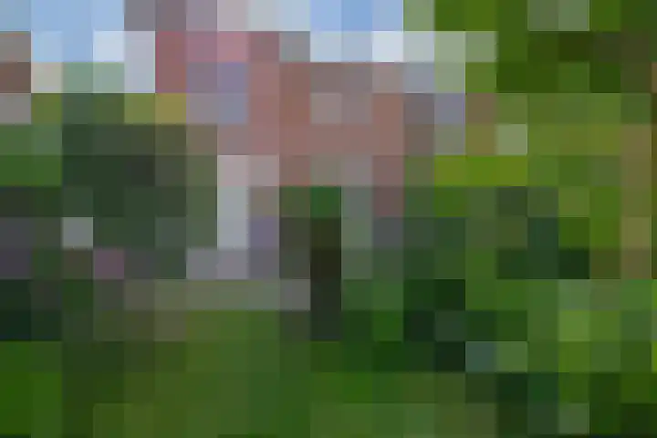 Prof. Jordanlaan 64 Utrecht thumbnail 22