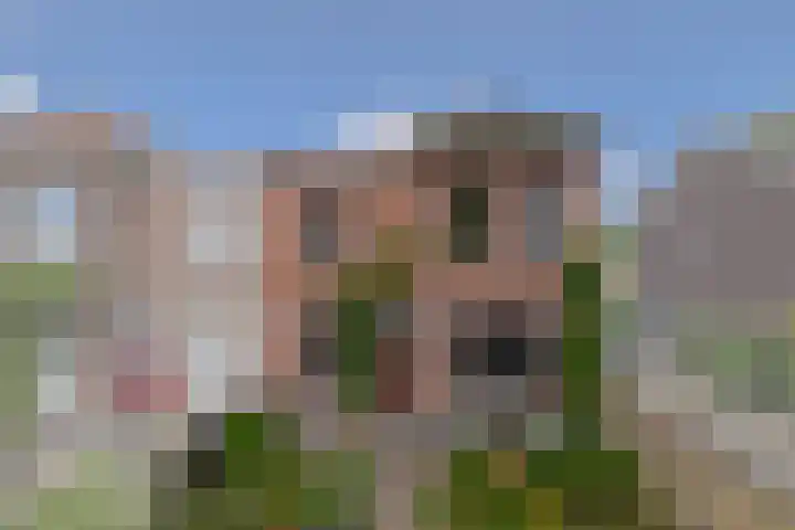 Prof. Jordanlaan 64 Utrecht thumbnail 5