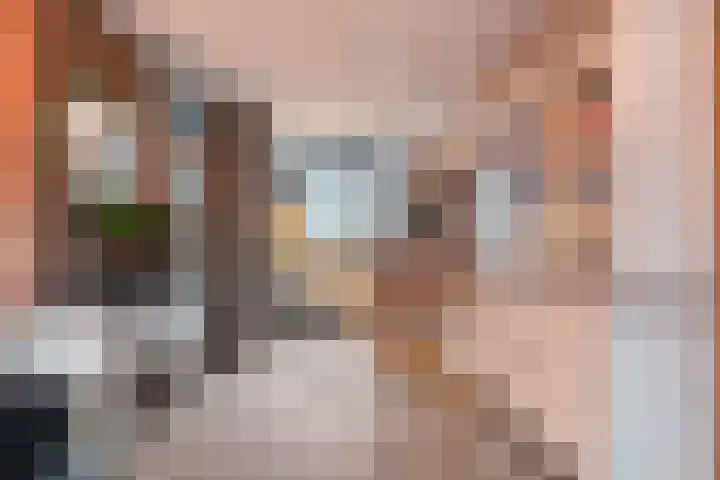 Prof. K. Schilderhof 27 Kampen thumbnail 11
