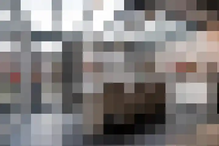Prof. K. Schilderhof 27 Kampen thumbnail 15