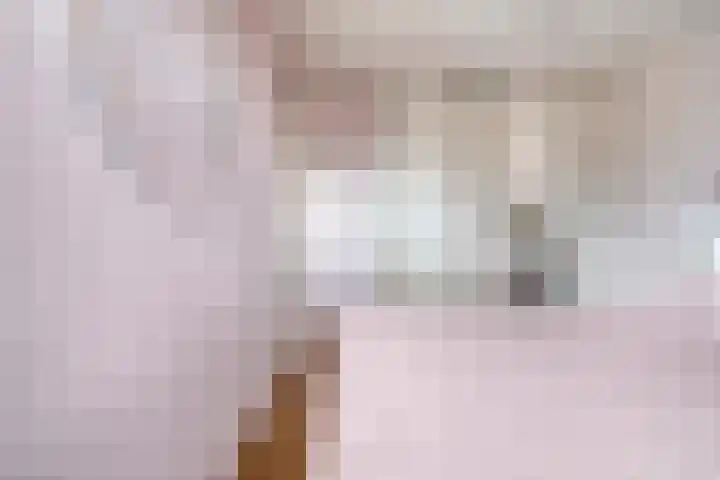 Prof. K. Schilderhof 27 Kampen thumbnail 19