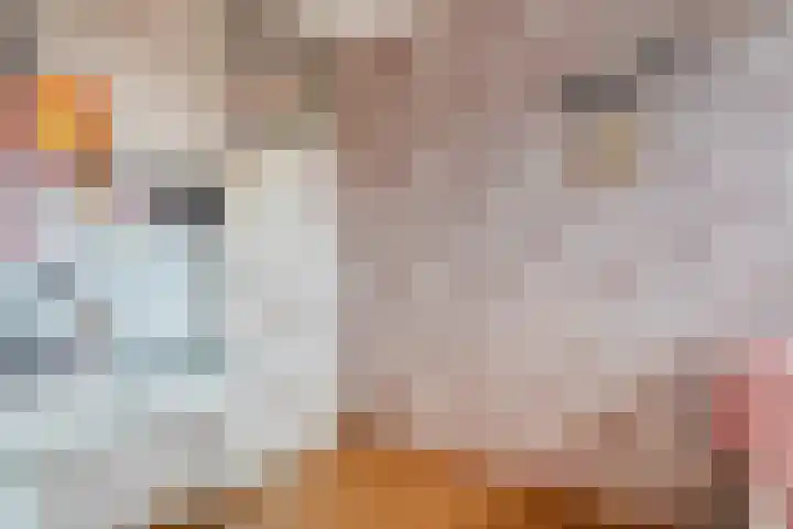 Prof. K. Schilderhof 27 Kampen thumbnail 21
