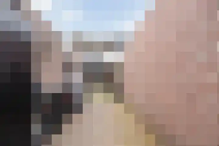 Prof. K. Schilderhof 27 Kampen thumbnail 31