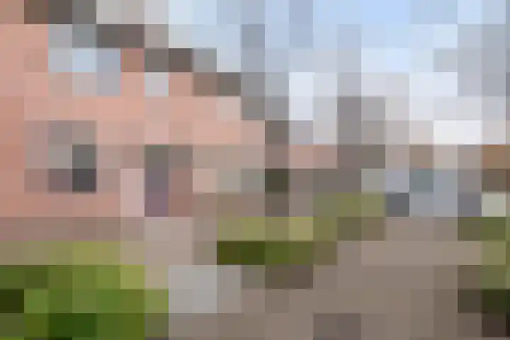 Prof. K. Schilderhof 27 Kampen thumbnail 32