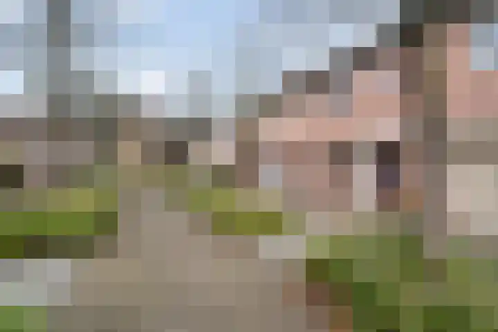 Prof. K. Schilderhof 27 Kampen thumbnail 33