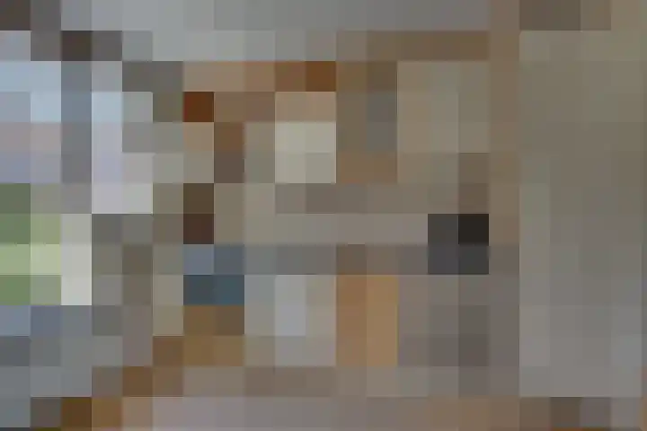 Prof. K. Schilderhof 77 Kampen thumbnail 18