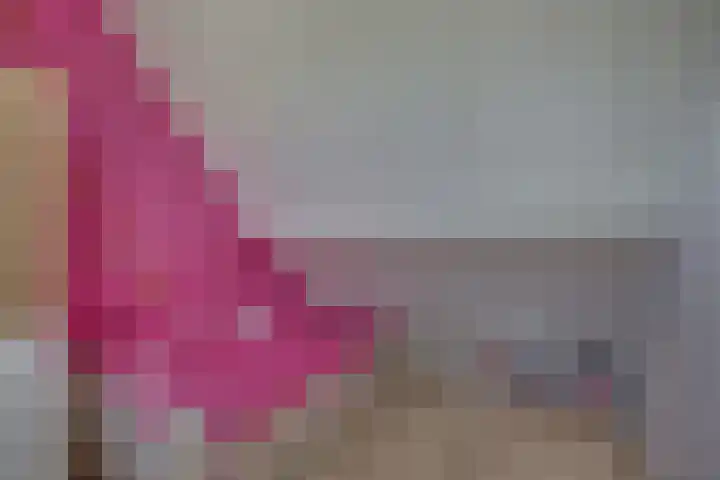 Prof. K. Schilderhof 77 Kampen thumbnail 33
