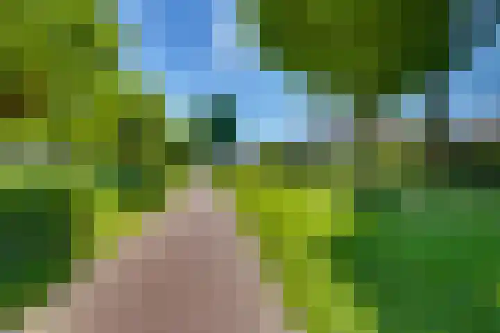 Prof. K. Schilderhof 77 Kampen thumbnail 36