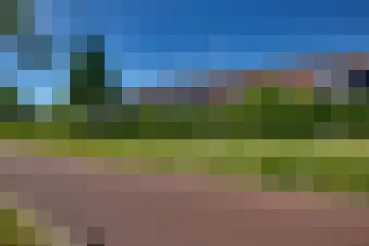 Prof. K. Schilderhof 77 Kampen thumbnail 37