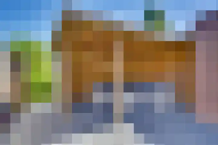 Prof. K. Schilderhof 77 Kampen thumbnail 5
